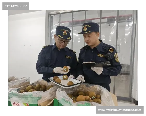 邢台设立自行车出口绿色通道 通关时效压缩至12小时 邢台设立自行车出口绿色通道 通关时效压缩至12小时